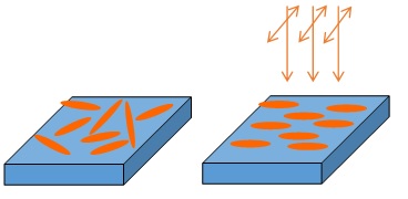 Photoalignment of Liquid Crystalline Materials