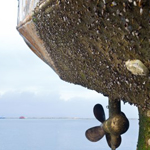 Solution for Marine Fouling