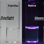 Indicator and Stabilizer of Insulin