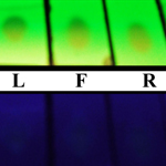 Thiol-Specific Biomolecular Probes